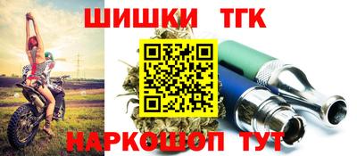 стаф Тула