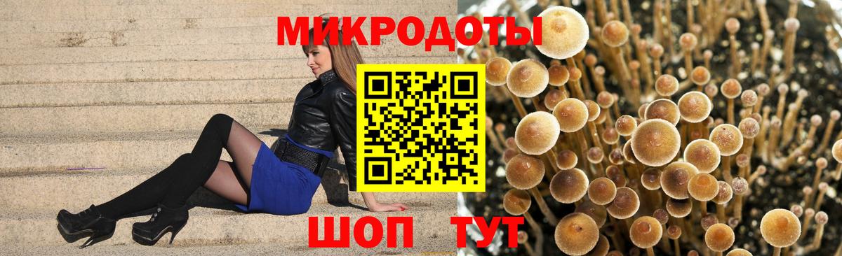 Галлюциногенные грибы мицелий Нововоронеж